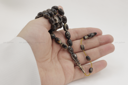 ترسة (ظهر سلحفاة بحرية) عيون