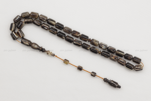 ترسة (ظهر سلحفاة بحرية) عيون