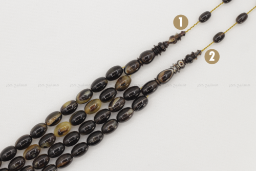 ترسة (ظهر سلحفاة بحرية) عيون