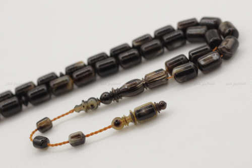 ترسة (ظهر سلحفاة بحرية) عيون