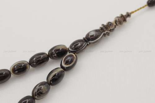 ترسة (ظهر سلحفاة بحرية) عيون