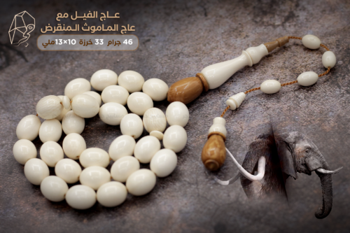 عاج فيل مطعم ب ماموث 33 خرزة بيض حمام 1 copy عاج الفيل مطعم بعاج الماموث