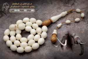 عاج الفيل مطعم بعاج الماموث