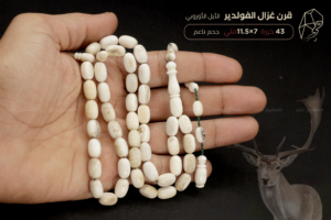 قرن غزال الفولدير (الأيل الأوروبي) حجم ناعم