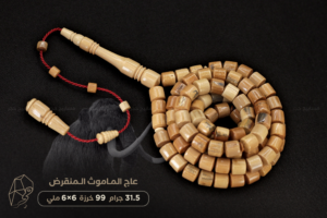 عاج الماموث المنقرض- حجم ناعم