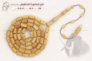 عاج الماموث المنقرض- حجم ناعم