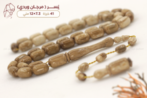يسر وردي (المرجان البحري) من أندر أنواع اليسر