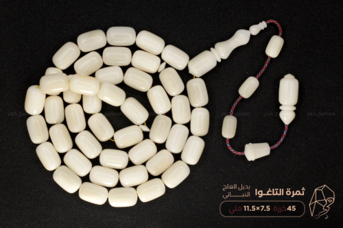 ثمرة التاغوا ( بديل العاج النباتي)