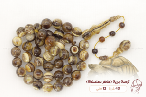 ترسة برية (ظهر سلحفاة)