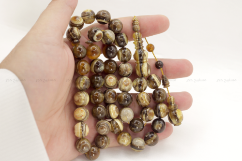 ترسة برية (ظهر سلحفاة)