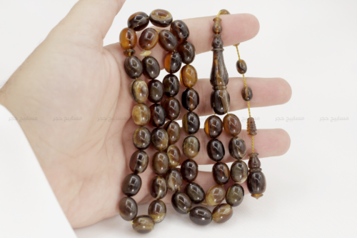 ترسة برية (ظهر سلحفاة)