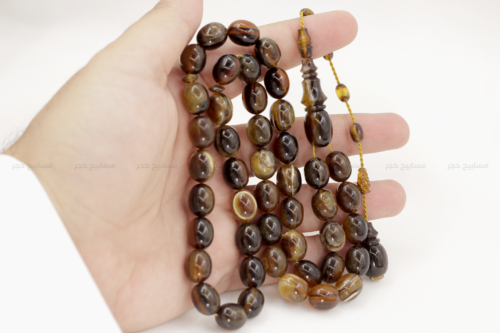 ترسة برية (ظهر سلحفاة)
