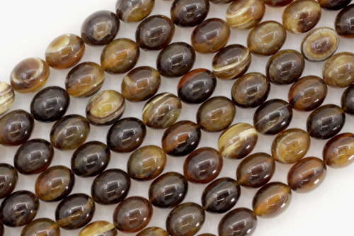 ترسة برية (ظهر سلحفاة)