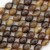ترسة برية (ظهر سلحفاة)