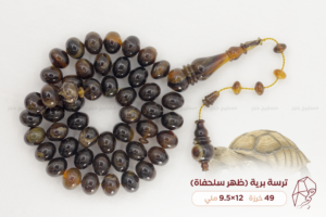 ترسة برية (ظهر سلحفاة)