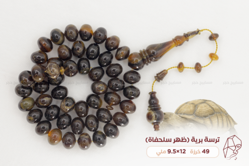 ترسة برية (ظهر سلحفاة)