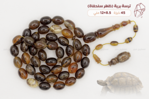 ترسة برية (ظهر سلحفاة)