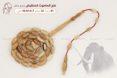 عاج الماموث المنقرض - حجم ناعم
