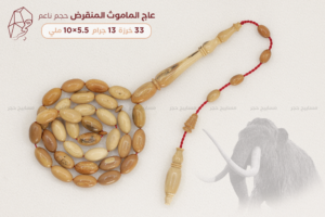 عاج الماموث المنقرض - حجم ناعم