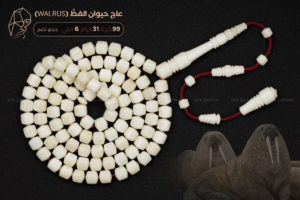عاج حيوان الفظ