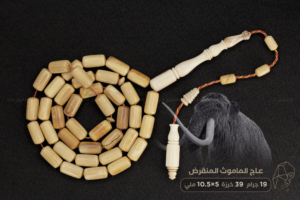 عاج الماموث المنقرض - حجم ناعم