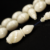 أندر وأثمن العاجيات السبعة: عاج حوت الناروال Narwhal ivory