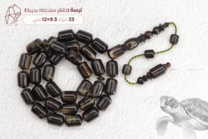 ترسة بحرية (ظهر سلحفاة)