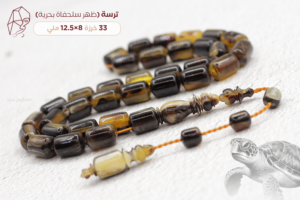 ترسة بحرية (ظهر سلحفاة)