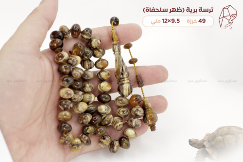 ترسة برية (ظهر سلحفاة)
