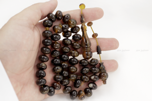ترسة برية (ظهر سلحفاة)