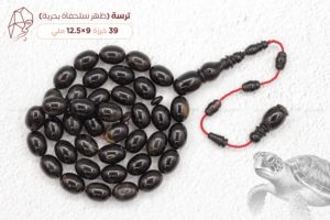 ترسة بحرية (ظهر سلحفاة)
