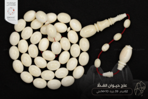 عاج حيوان الفظ