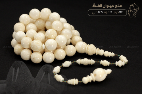 عاج حيوان الفظ