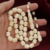 عاج حيوان الفظ - تنصيف طولي في كل الخرز