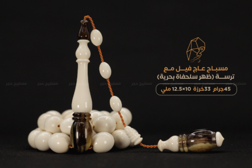 عاج الفيل مع ترسة ( ظهر سلحفاة بحرية)