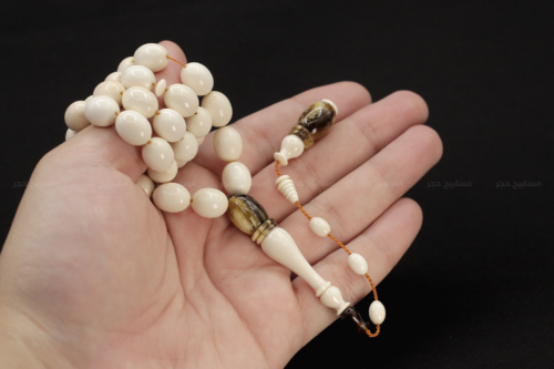 عاج الفيل مع ترسة ( ظهر سلحفاة بحرية)