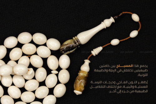 عاج الفيل مع ترسة ( ظهر سلحفاة بحرية)