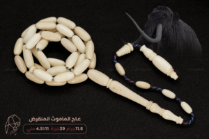 عاج الماموث المنقرض - حجم ناعم
