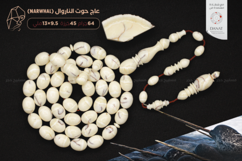 أندر وأثمن العاجيات السبعة: عاج حوت الناروال Narwhal ivory