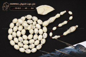 أندر وأثمن العاجيات السبعة: عاج حوت الناروال Narwhal ivory