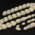 أندر وأثمن العاجيات السبعة: عاج حوت الناروال Narwhal ivory