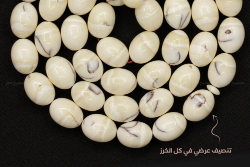 أندر وأثمن العاجيات السبعة: عاج حوت الناروال Narwhal ivory