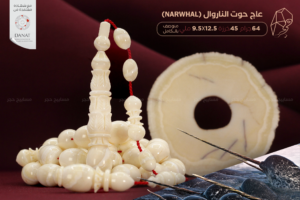 أندر وأثمن العاجيات السبعة: عاج حوت الناروال Narwhal ivory  - منوصف - مع شهادة (دانات)