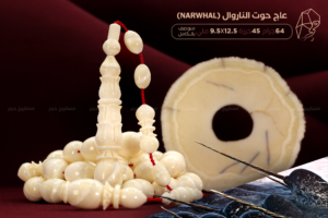 أندر وأثمن العاجيات السبعة: عاج حوت الناروال Narwhal ivory