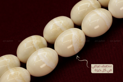 أندر وأثمن العاجيات السبعة: عاج حوت الناروال Narwhal ivory  - منوصف - مع شهادة (دانات)